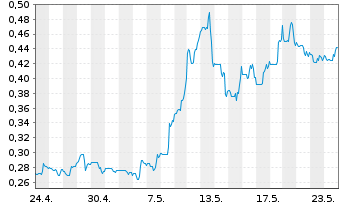 Chart Power Nickel Inc. - 1 Monat